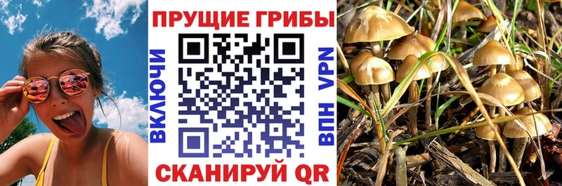 Псилоцибиновые грибы прущие грибы Калуга