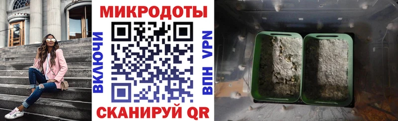 мега ONION что такое наркотик Калуга Галлюциногенные грибы Psilocybine cubensis